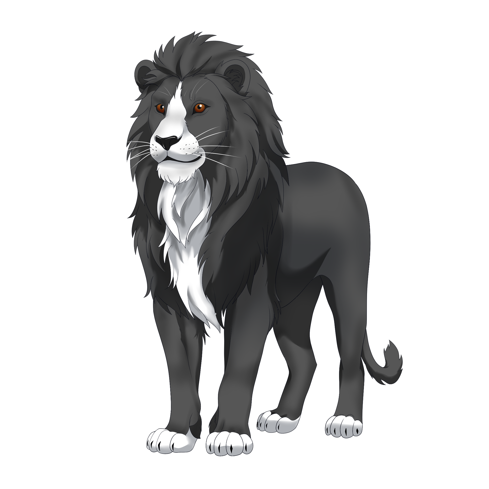 Graves the tuxedo lion