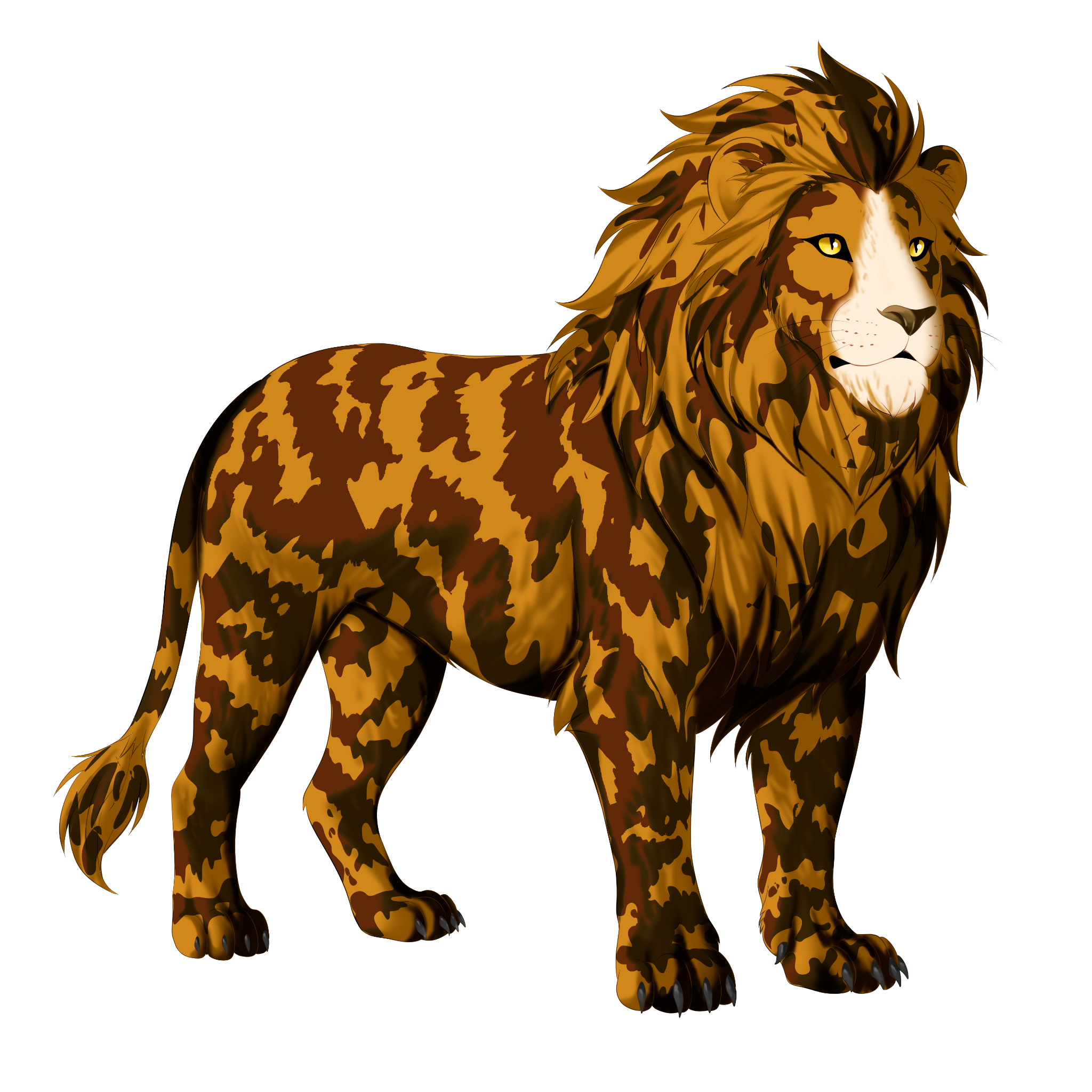 Morrow the tortoiseshell lion