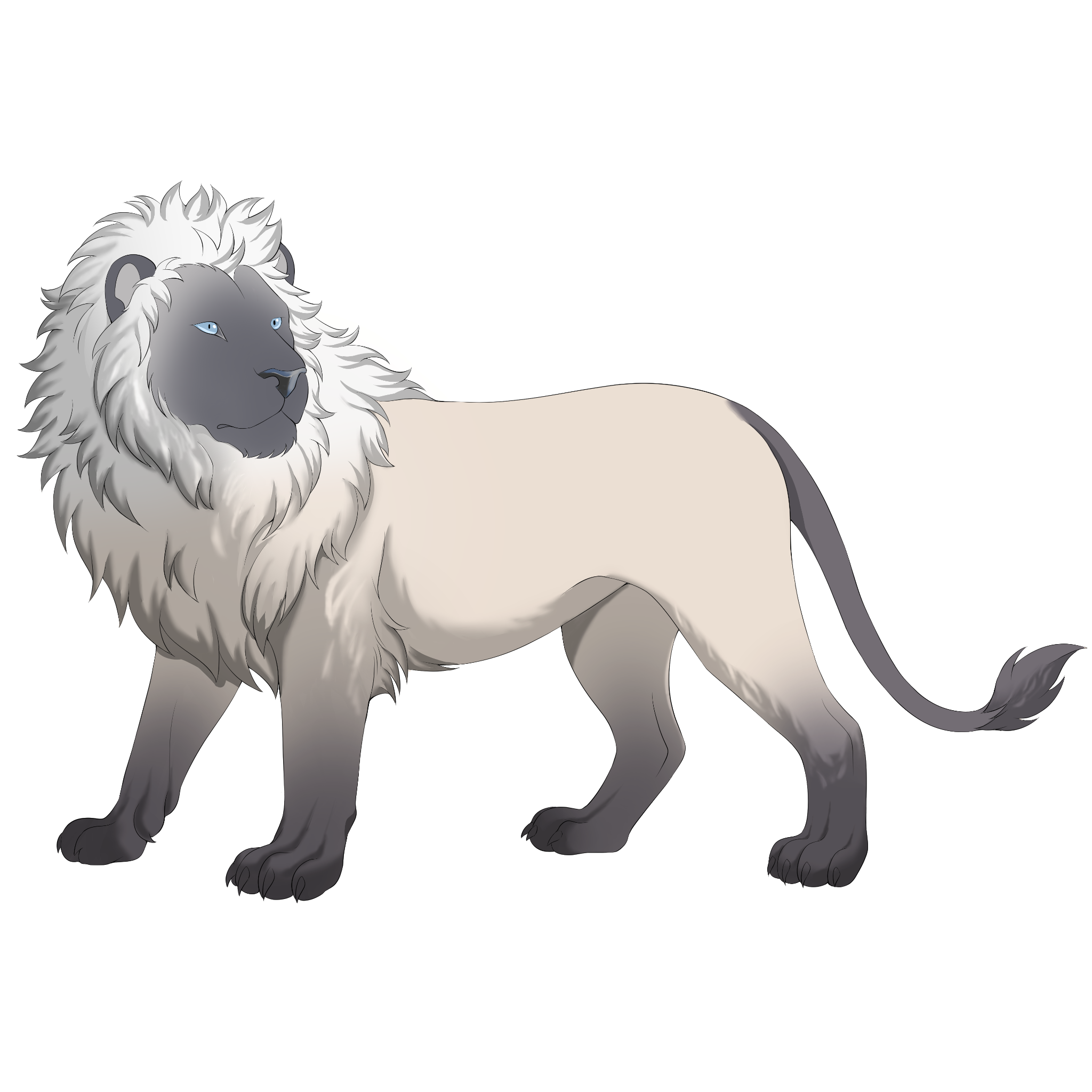 Tubs the Siamese lion